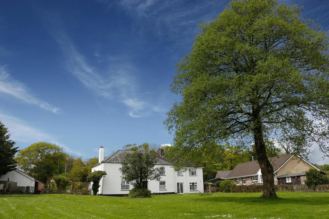 Leworthy Farmhouse Bed And Breakfast Holsworthy Exterior photo