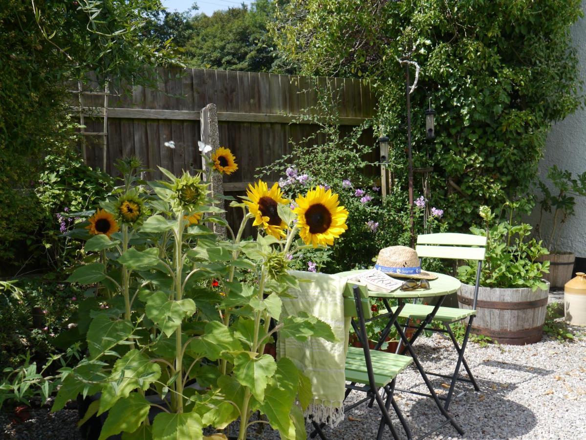 Leworthy Farmhouse Bed And Breakfast Holsworthy Exterior photo